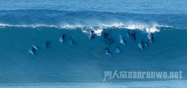 发声砖回归，真会说话的帽子！乐高哈利波特76429分院帽公布