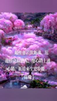 自由小迷宫